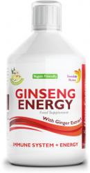 Ginseng Energy tekutý ženšen a zázvor 500 ml